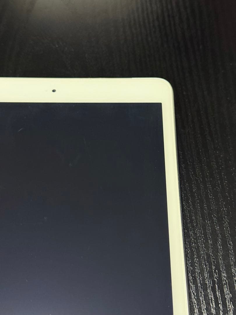 iPad mini（第1世代）セルラー docomo 16GB ケース付き