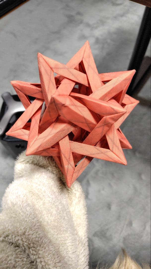 COLONISTA 　CONPE10 　Coral