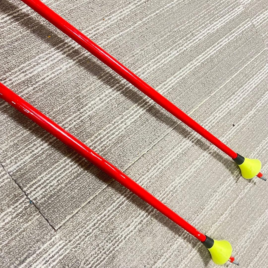 ☆LEKI Worldcup Racing GS用ポール 123cm