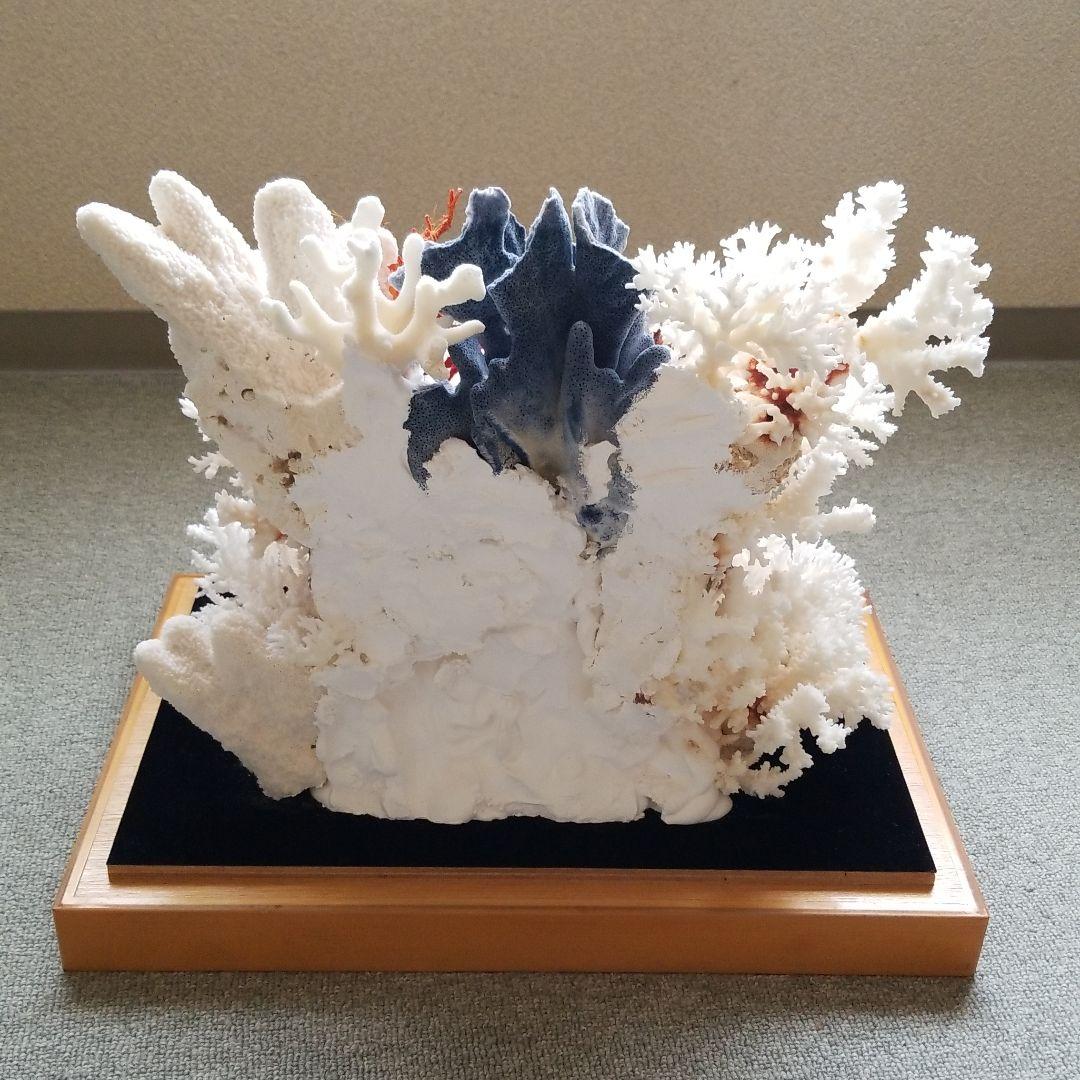 珊瑚置物
