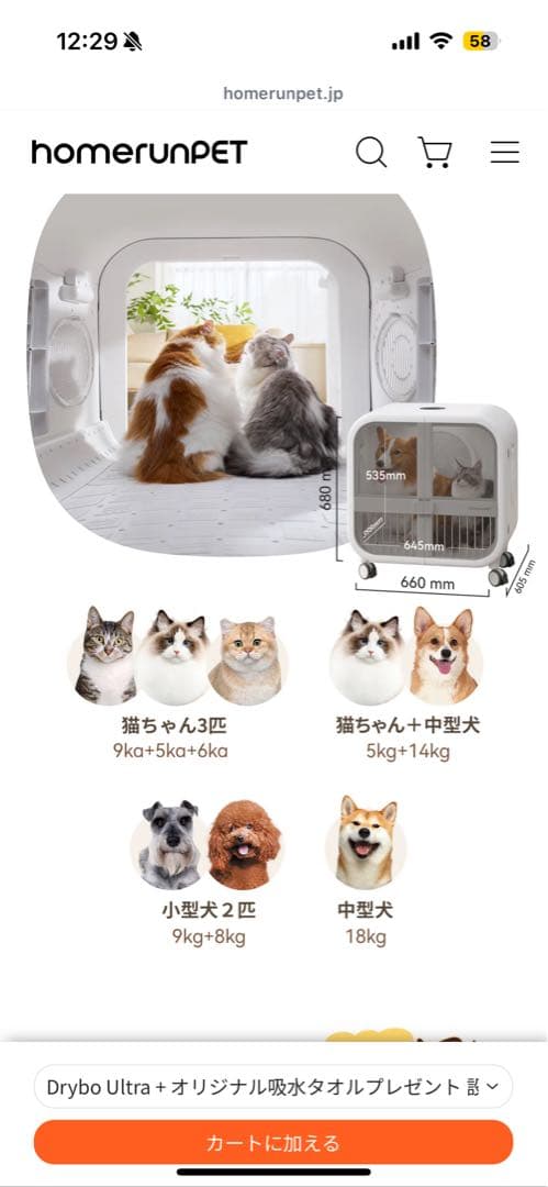 【年末年始限定1万円引き‼️】Drybo Ultra ペット用ドライヤー　1度使用