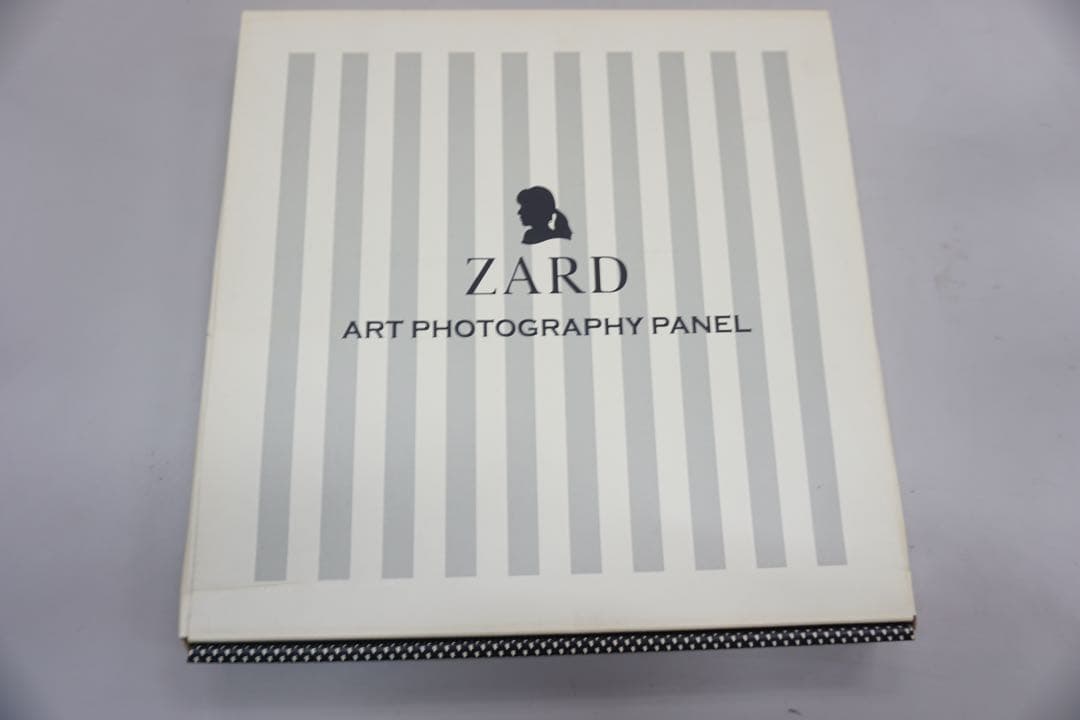 k*i様 ZARD 坂井泉水 大量ファンクラブ限定 グッズ 会報 パンフレット