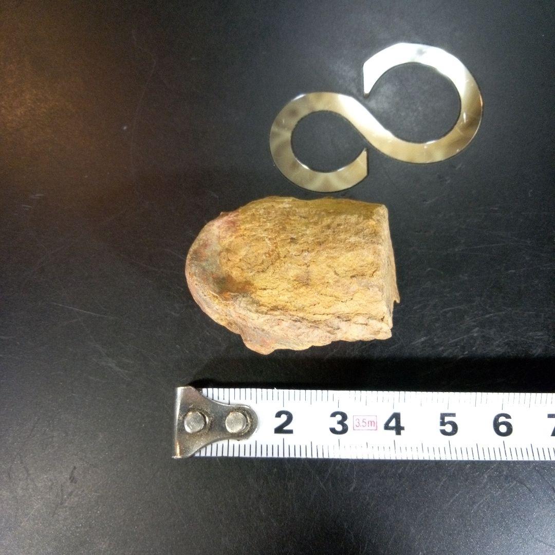 三葉虫　化石　fossil　ボリビア産　trilobite　ノジュール判別②