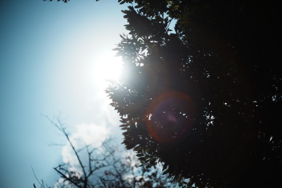 【和製貴婦人】MC ROKKOR-PG 50mm F1.4 ミノルタ 532