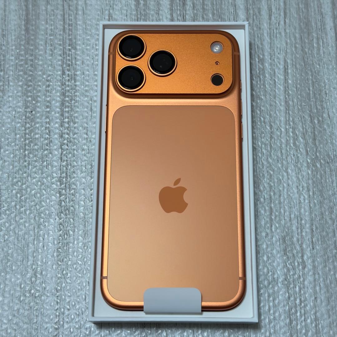 【魚はイカン】様　iPhone17 Pro Max 512GB SIMフリー