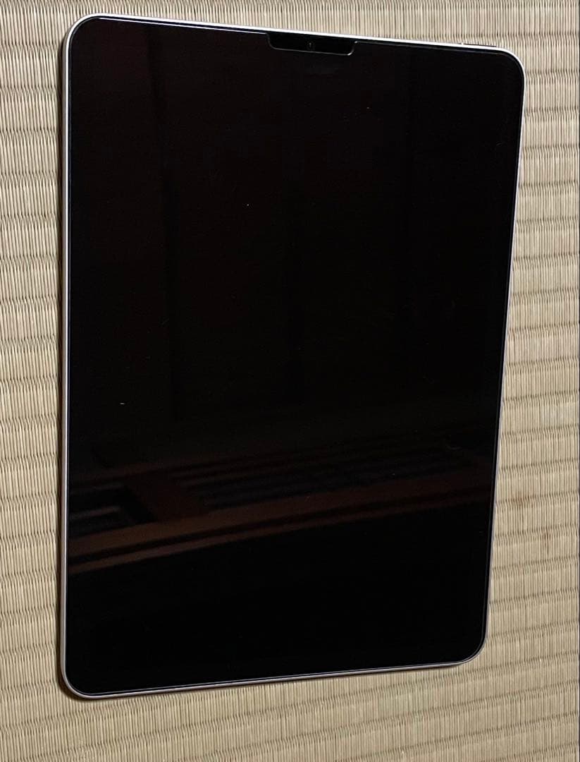 Apple iPad シルバー 10.9インチ 本体