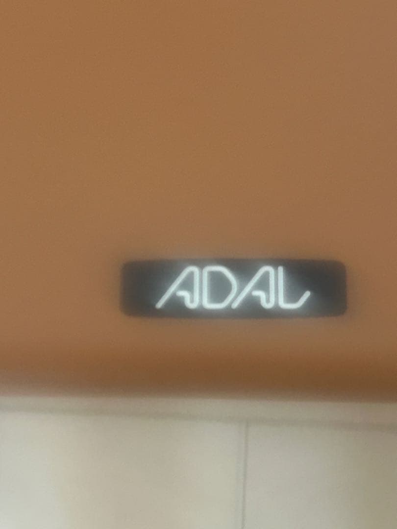 イタリアCATTELANMARGOT本革張り シンプル チェア(1脚)