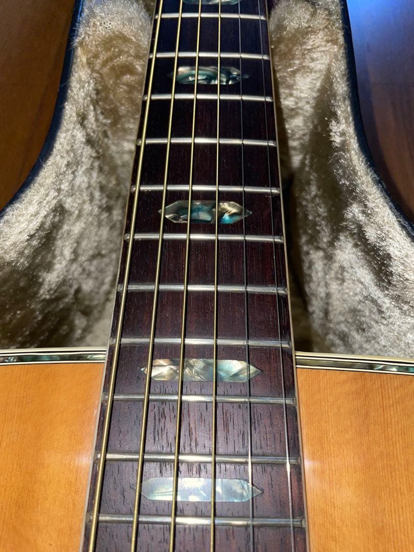 ARIA W-30D アコースティックギター ドレッドノート