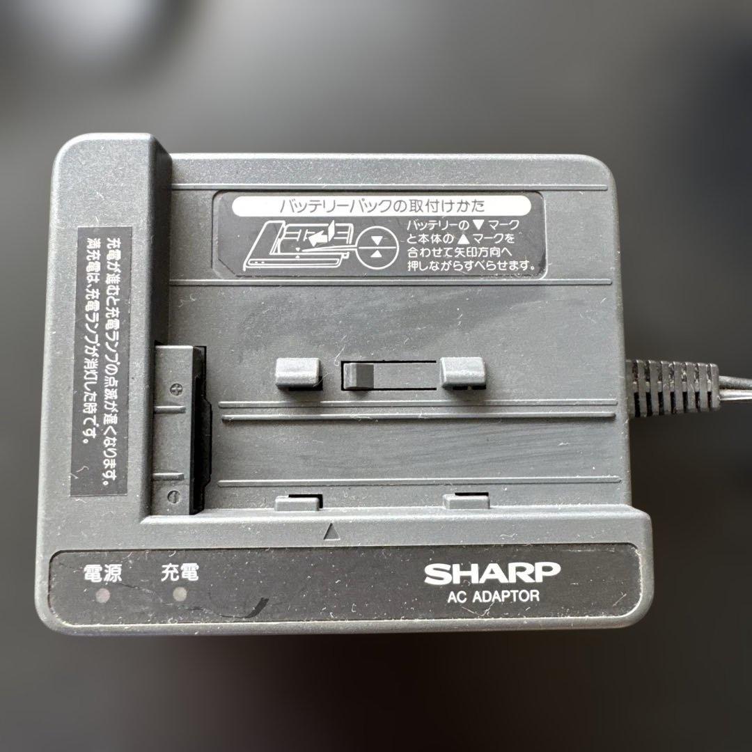 【値下】 SHARP DIGITAL VIEWCAM VL-DX1