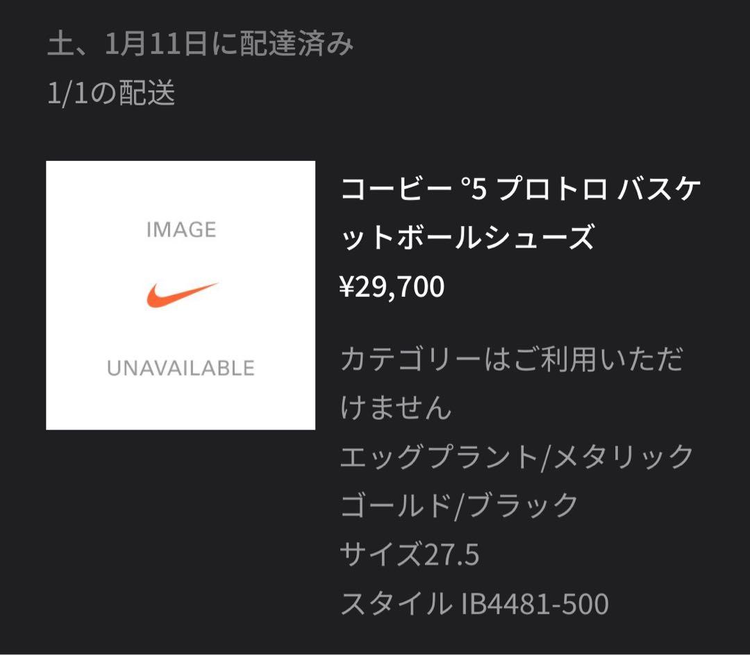 Nike バスケットボールシューズ 黒紫金