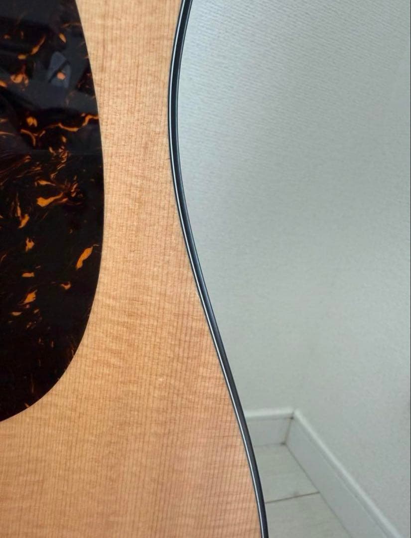 g*o様 DJR-10E-02 エレアコ