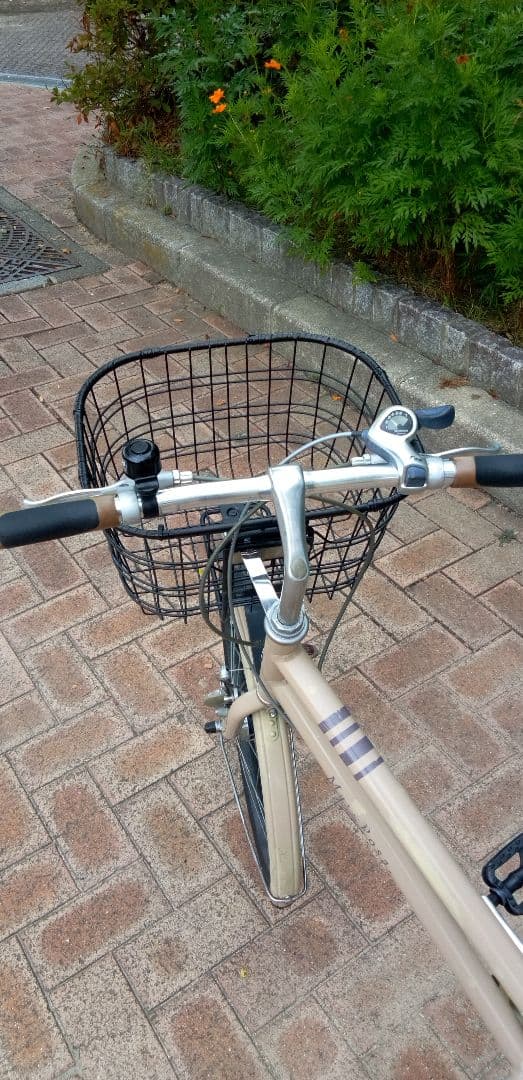 ブリジストン　アルミ軽量ミニベロ(20㌅)　大阪府八尾市 お引取り限定[配達可]