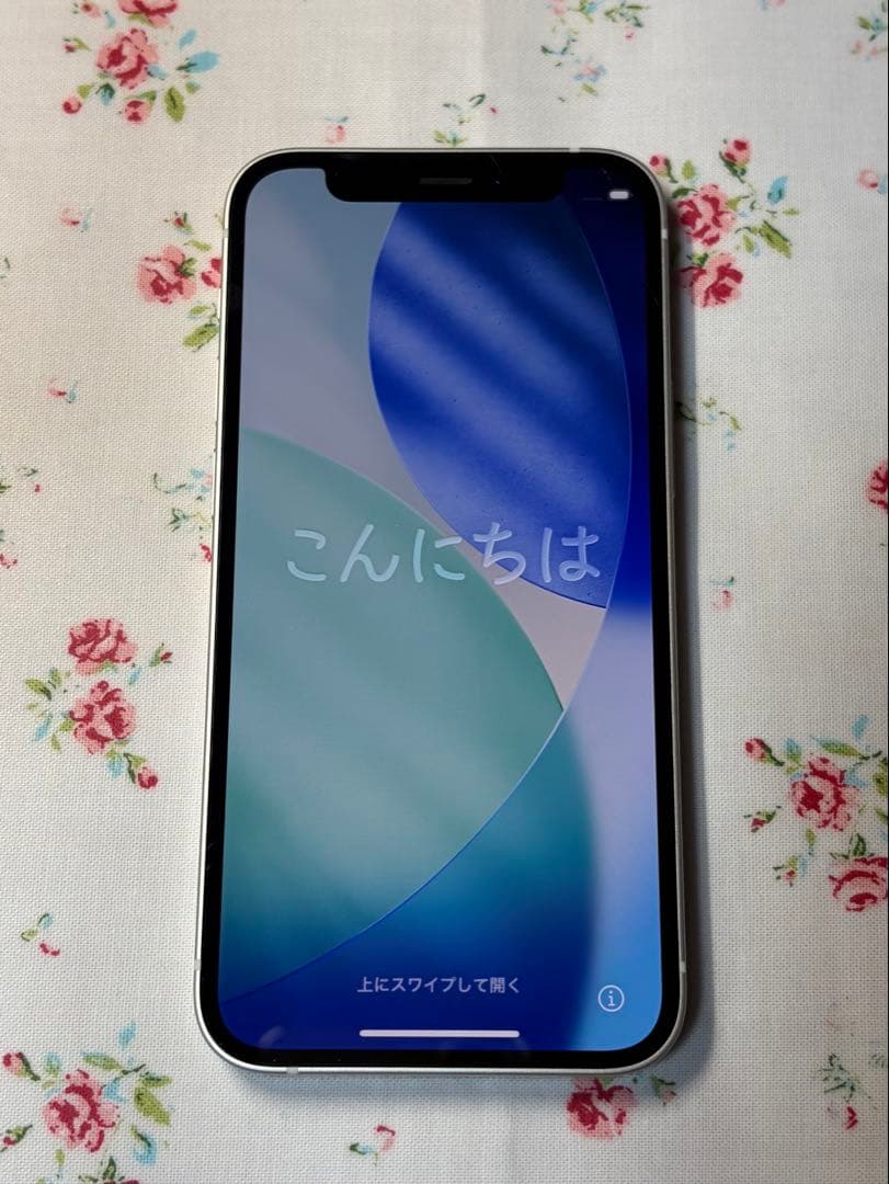 【お得なセット】iPhone12 mini SIMフリー