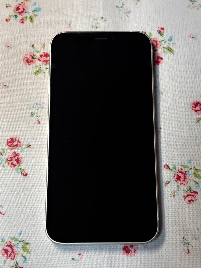 【お得なセット】iPhone12 mini SIMフリー