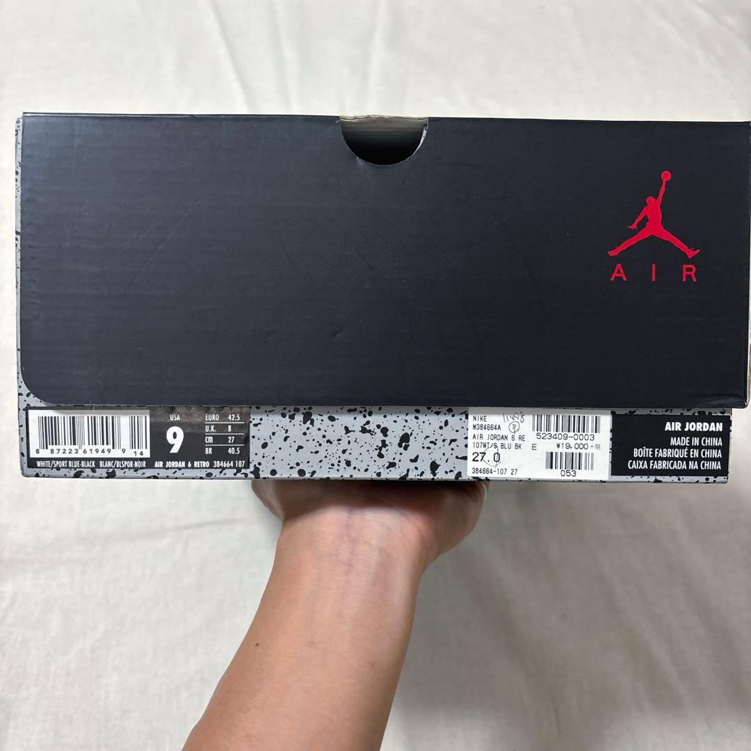 AIR JODAN 6 RETRO(Men's/27cm)※未使用品/観賞用