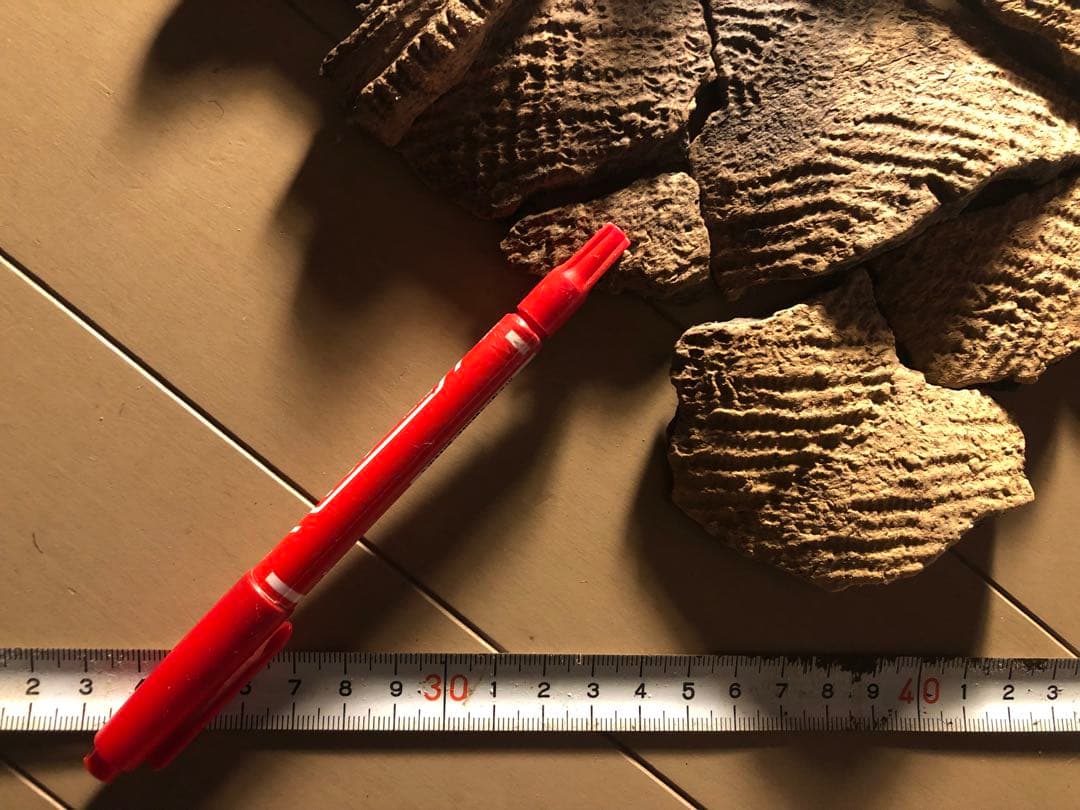 「縄文土器の欠片 No.534」です。