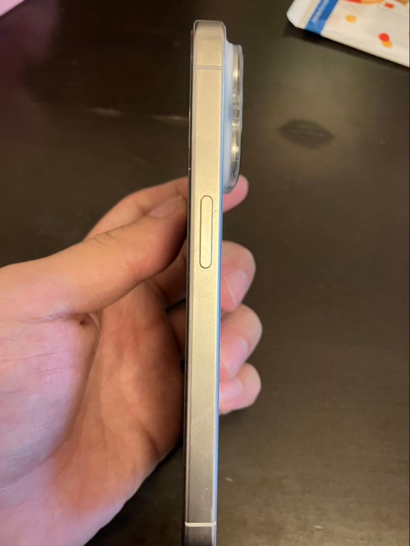 極美品 箱あり 純正付属品iPhone 15 Pro 512GB SIMフリー