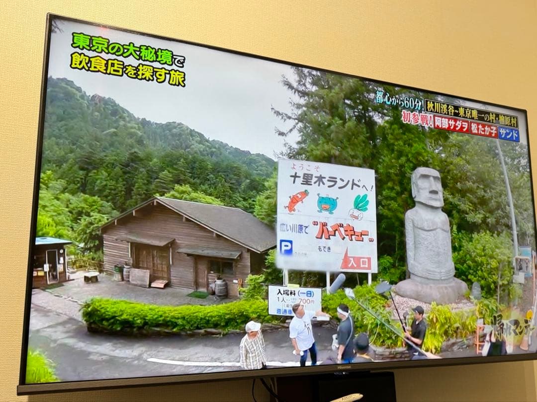 Hisense テレビ　50インチ　50A65G 4K ハイセンス　液晶テレビ