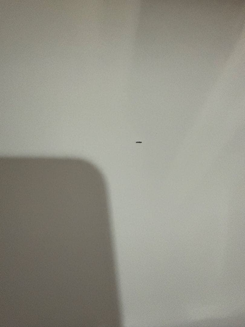 美品⭐︎2025年製Haier ハイアール 冷凍庫 ホワイト JF-NC66F-W