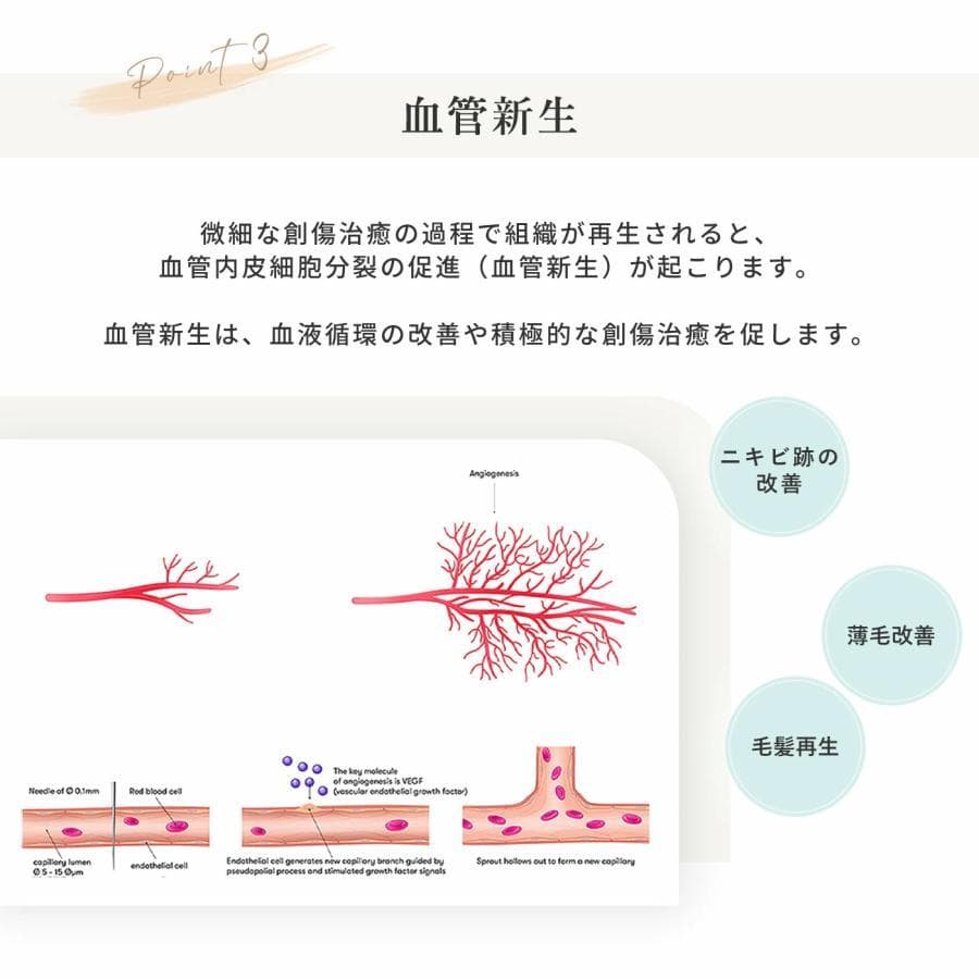 【正規品】ダーマローラー HC902/ローラークリーナーセット【新品未開封】