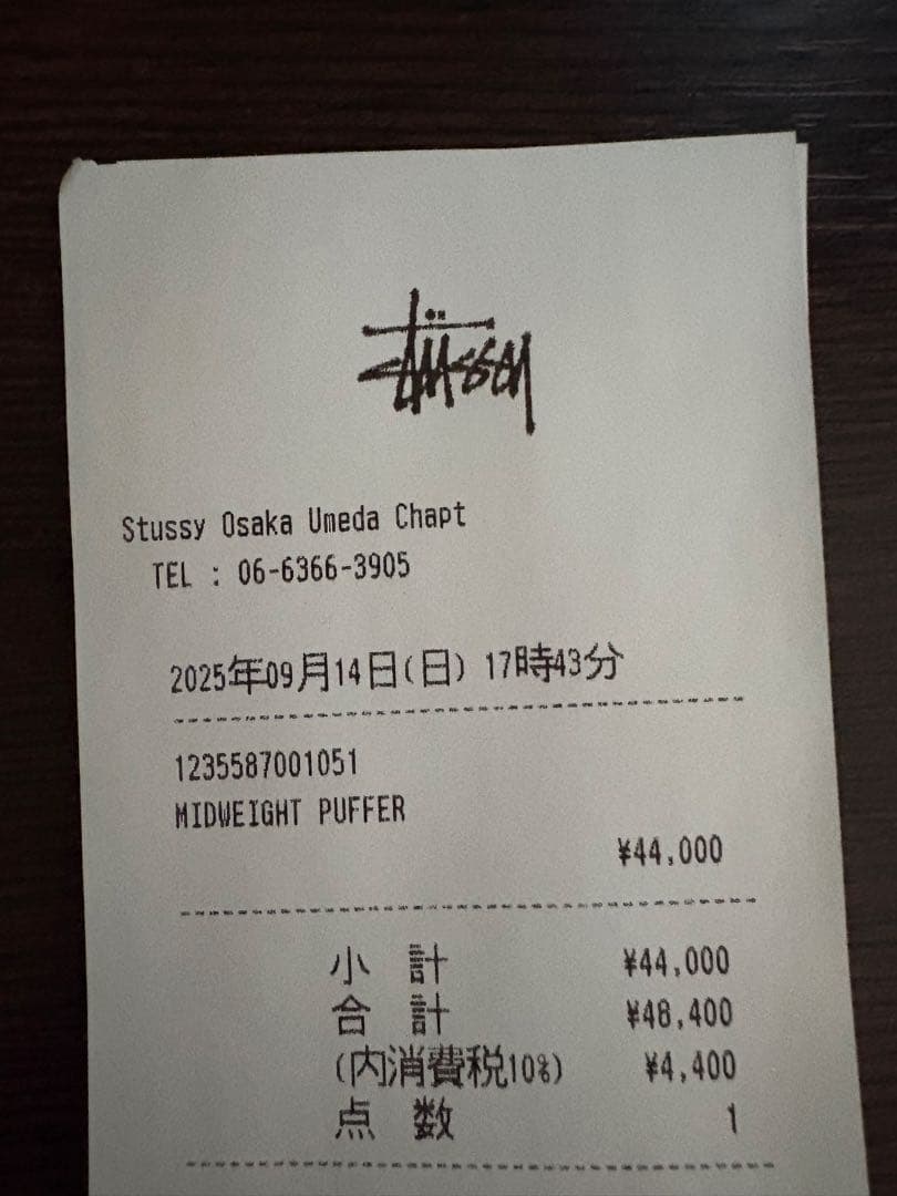 stussy ダウンジャケット L 正規品 即完