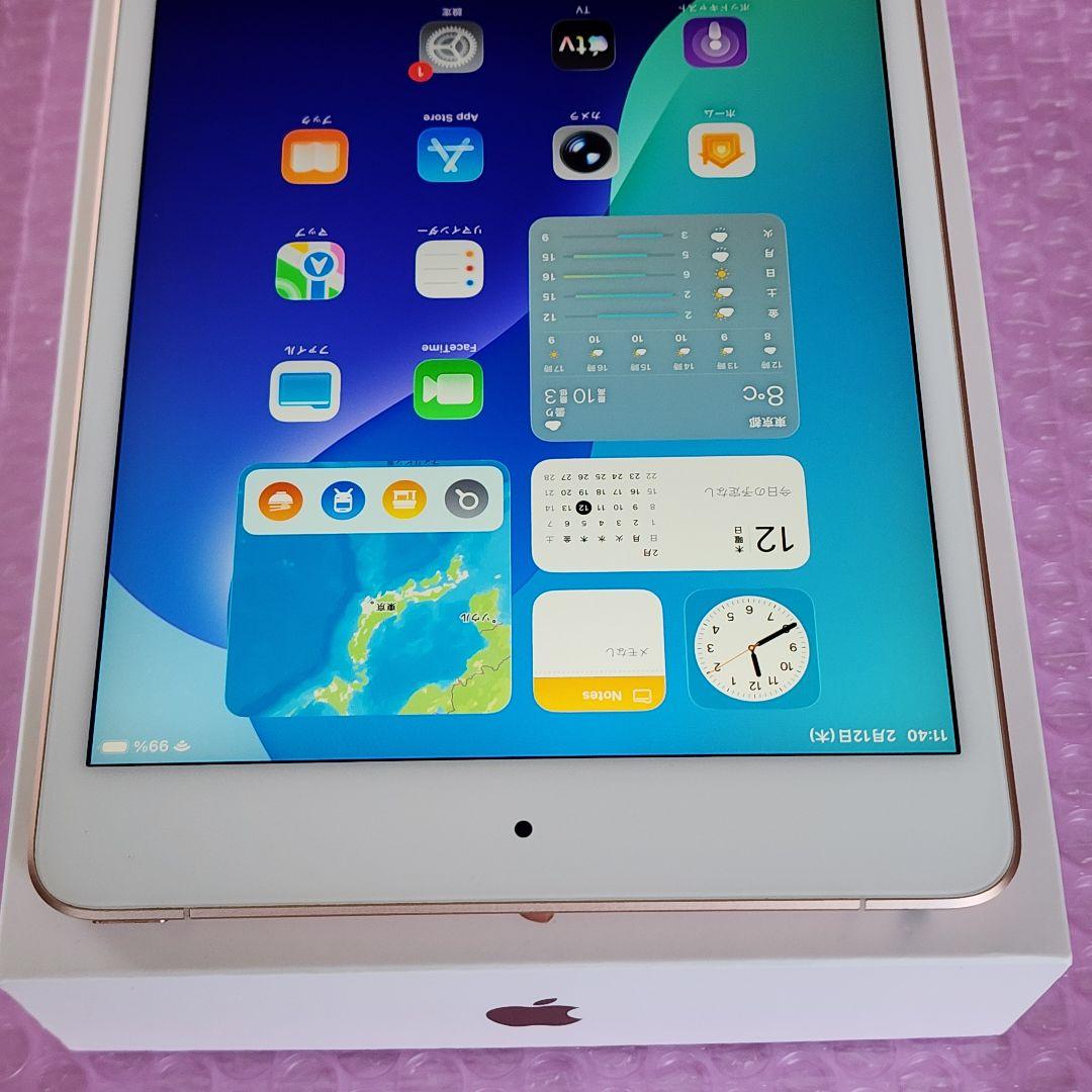 iPad mini5　バッテリー良好　フルセット　Wi-Fi+Cellular