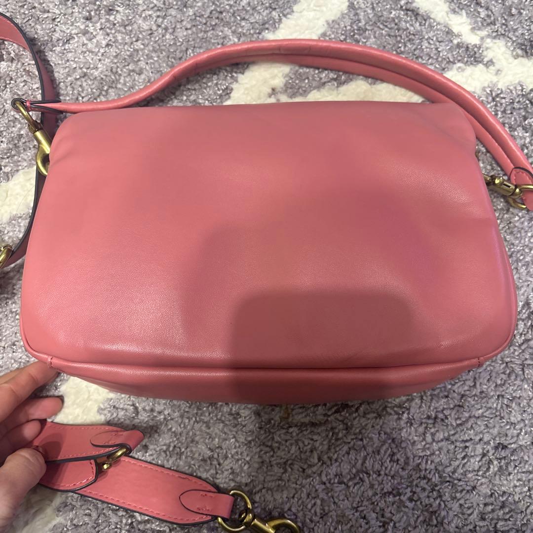 コーチ　タビーピロー