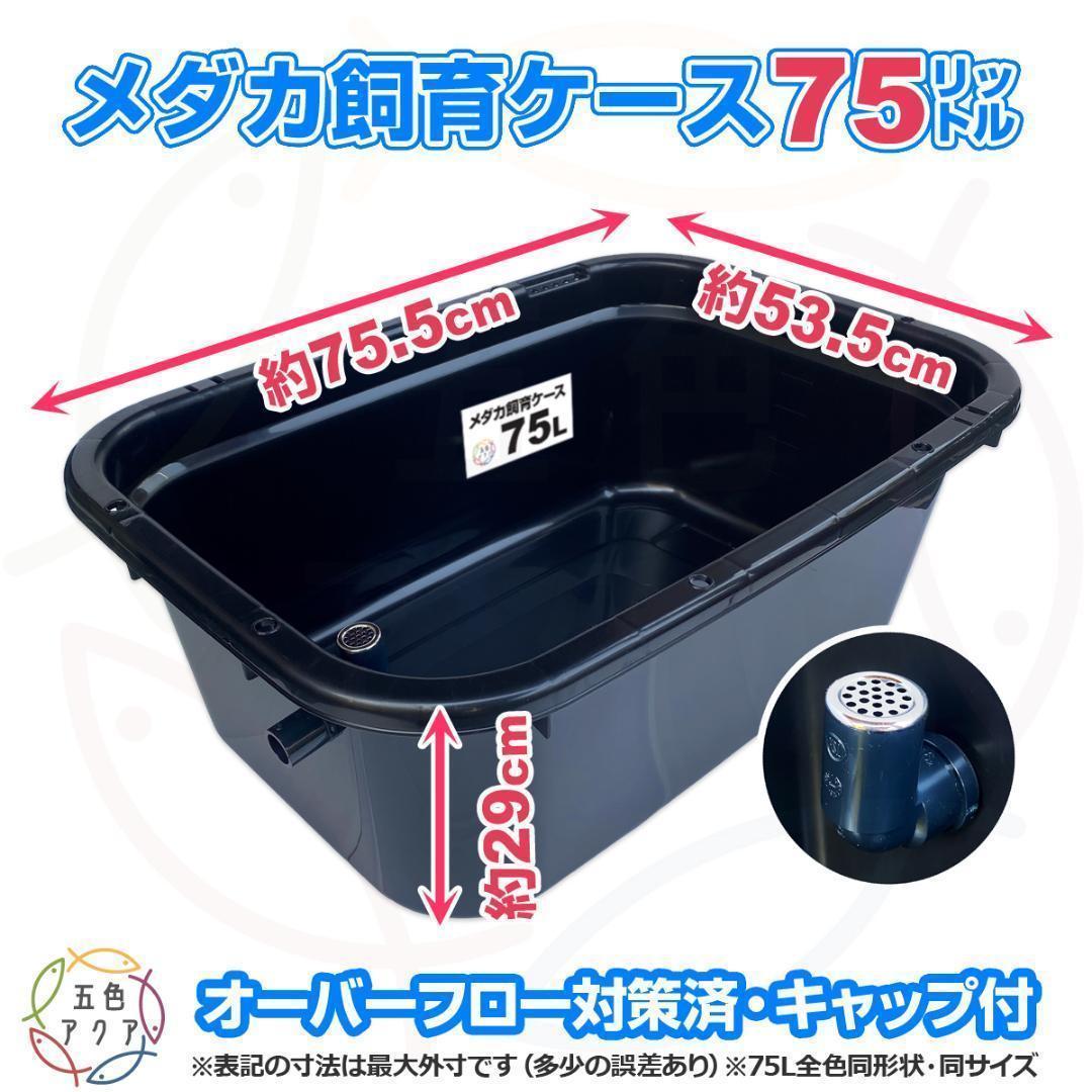 【新仕様】メダカ飼育ケース 75㍑黒x3個 オーバーフロー加工済 金魚飼育容器