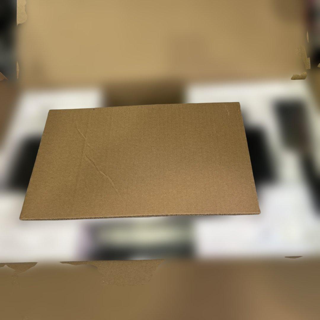 6991【未使用品】バルミューダ ザ・プレート プロ