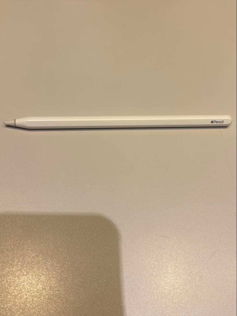 iPad Pro 11インチ (第1世代) Wi-Fiモデル 256GB