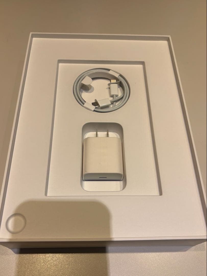 iPad Pro 11インチ (第1世代) Wi-Fiモデル 256GB