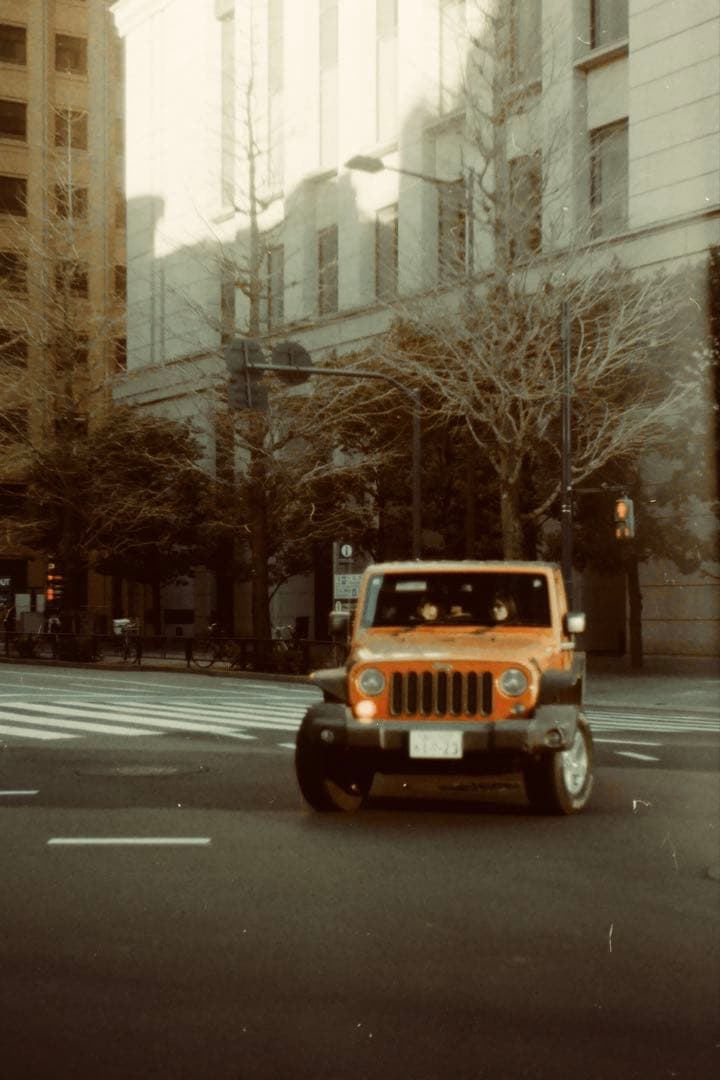 Leica IIIf【OH済】【二重象◎】【幕交換済◎】【各部注油済◎】【作例有