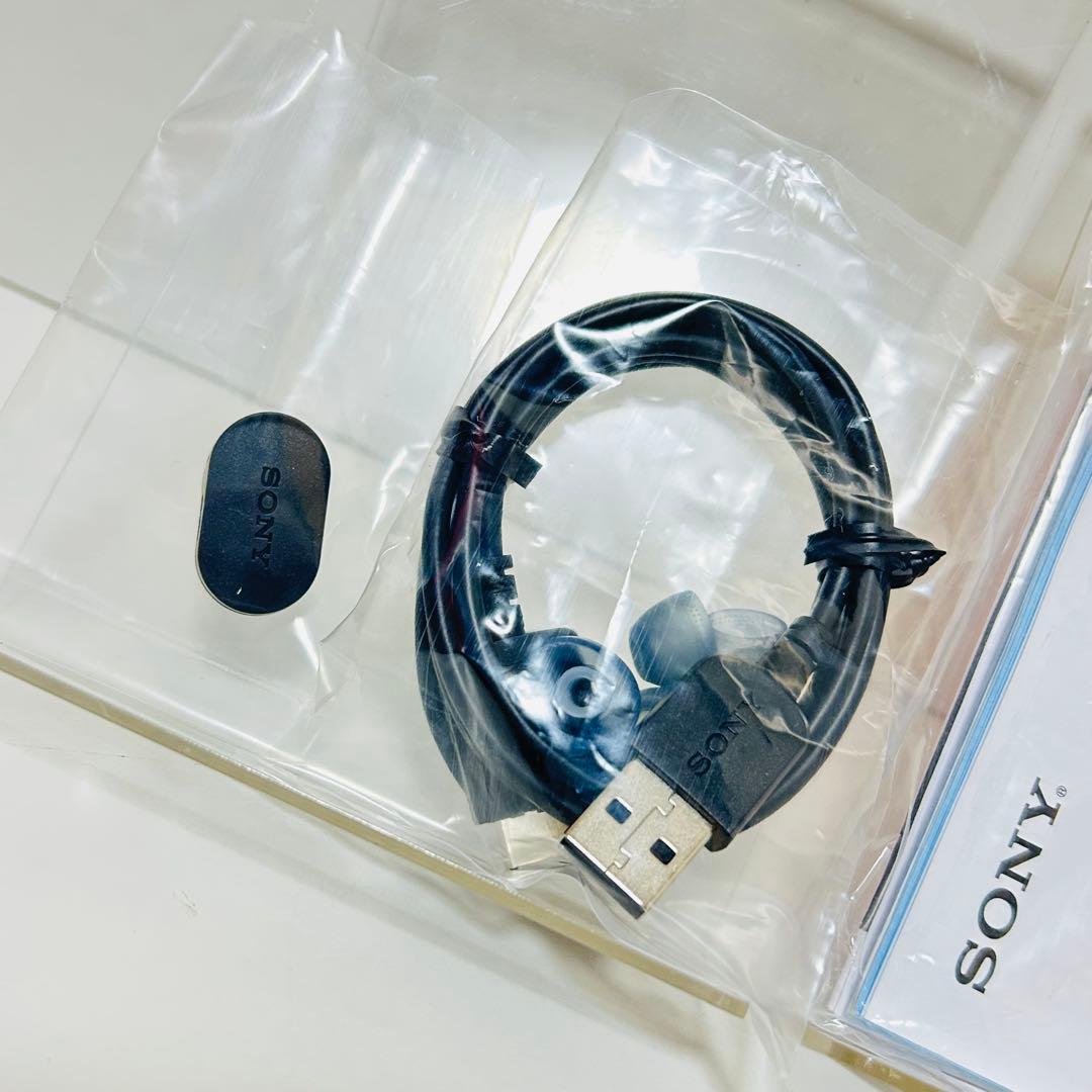 【ほぼ未使用】SONY MUSIC PLAYER 32GB NW-A46HN