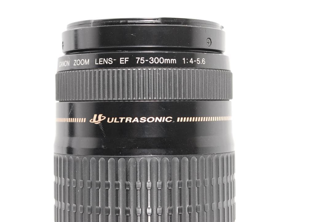 【作例あり】Canon EF 75-300mm 動作良好 軽量で扱いやすい