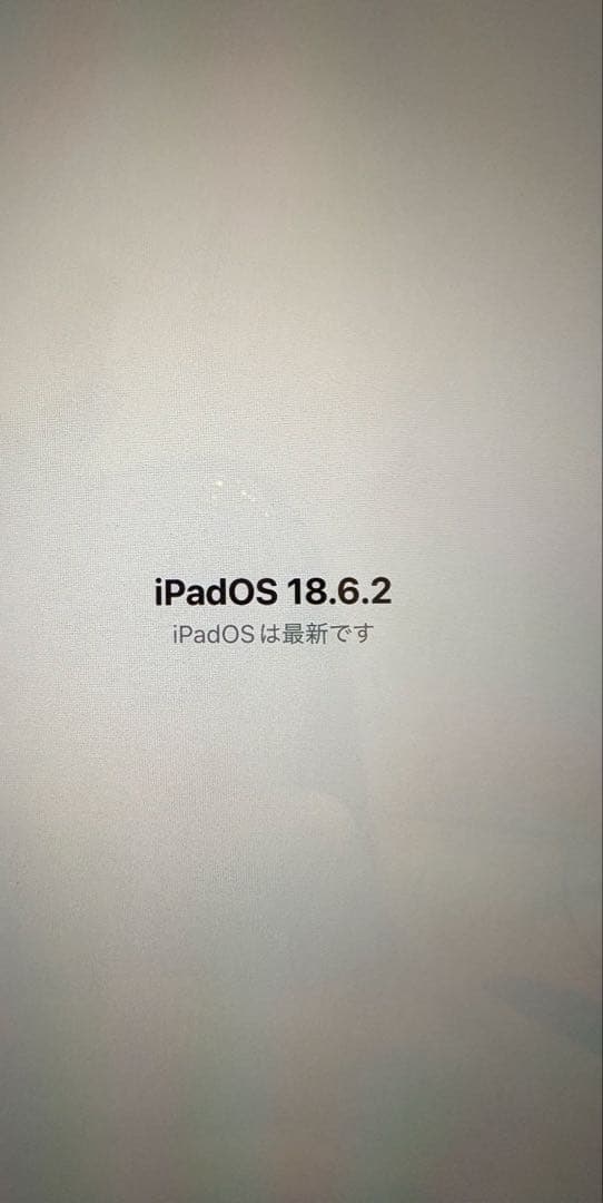 【キノシタ】Apple iPad mini A17 Pro 256GB