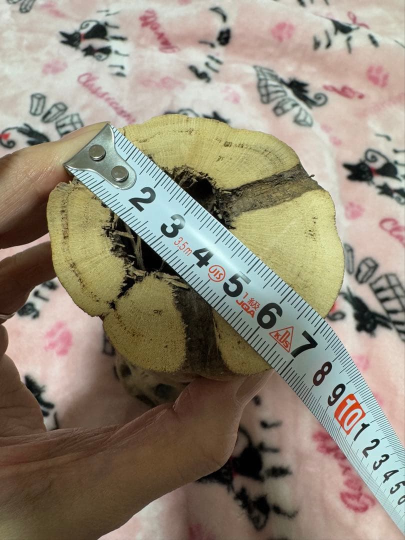 カクタスパーチ　手作り　ハンドメイド