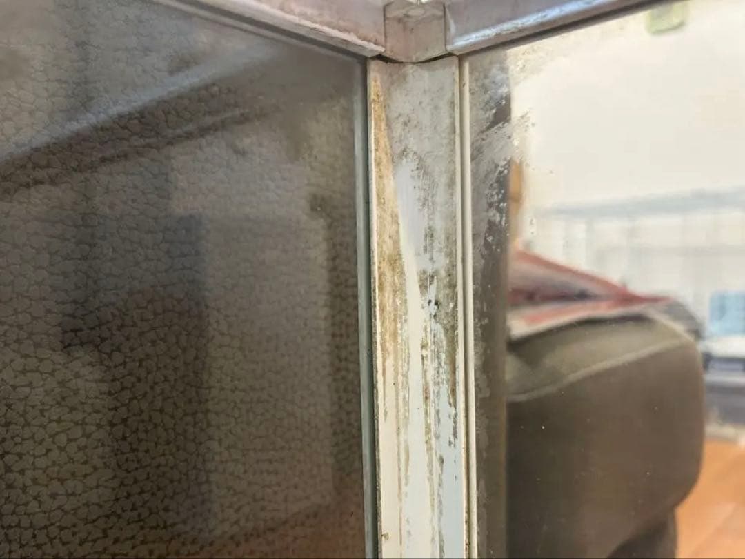 WH9045 パンテオンホワイト 爬虫類ケージ