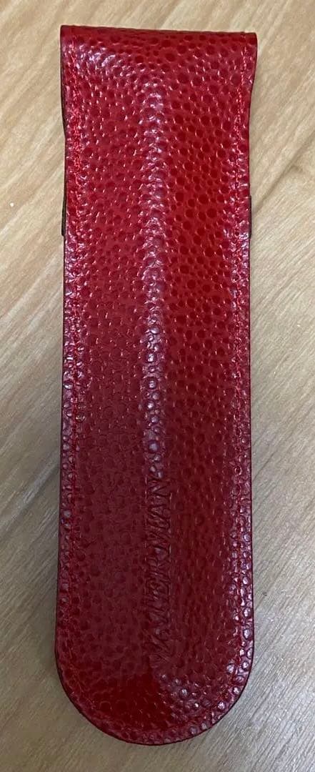 WATERMAN ウォーターマン 万年筆 ペンケース付き　インクなし