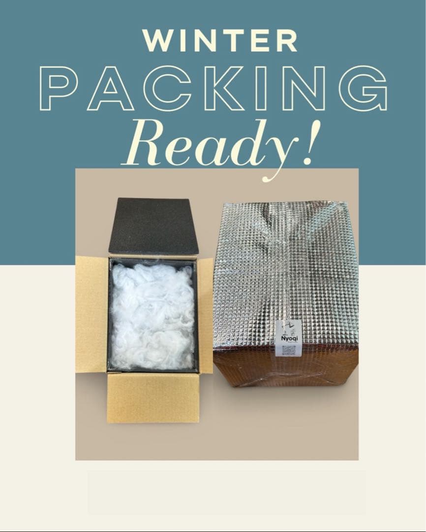 【メルカリ便】P. Willinckii Totoro' （spore）【96】