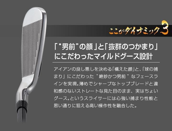 【ヘッド6個】強反発で飛ばす★ ダイナミクスアイアン カスタム用ヘッド単品