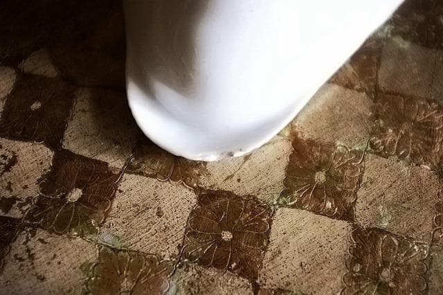 19世紀 金の貝と大きなラヴィエb パリ窯 プレート シェル アンティーク