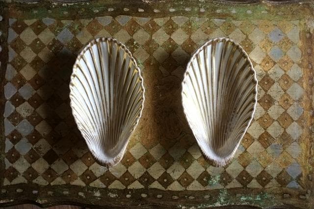 19世紀 金の貝と大きなラヴィエb パリ窯 プレート シェル アンティーク