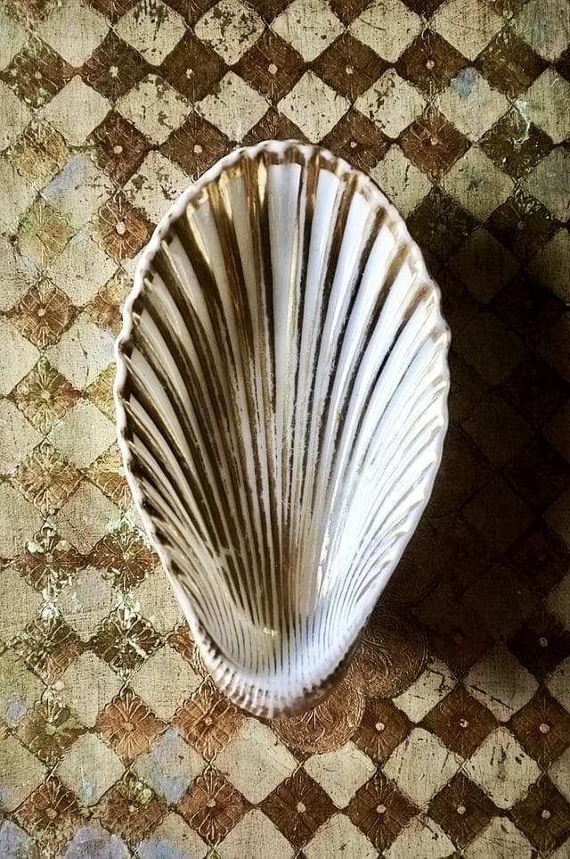 19世紀 金の貝と大きなラヴィエb パリ窯 プレート シェル アンティーク