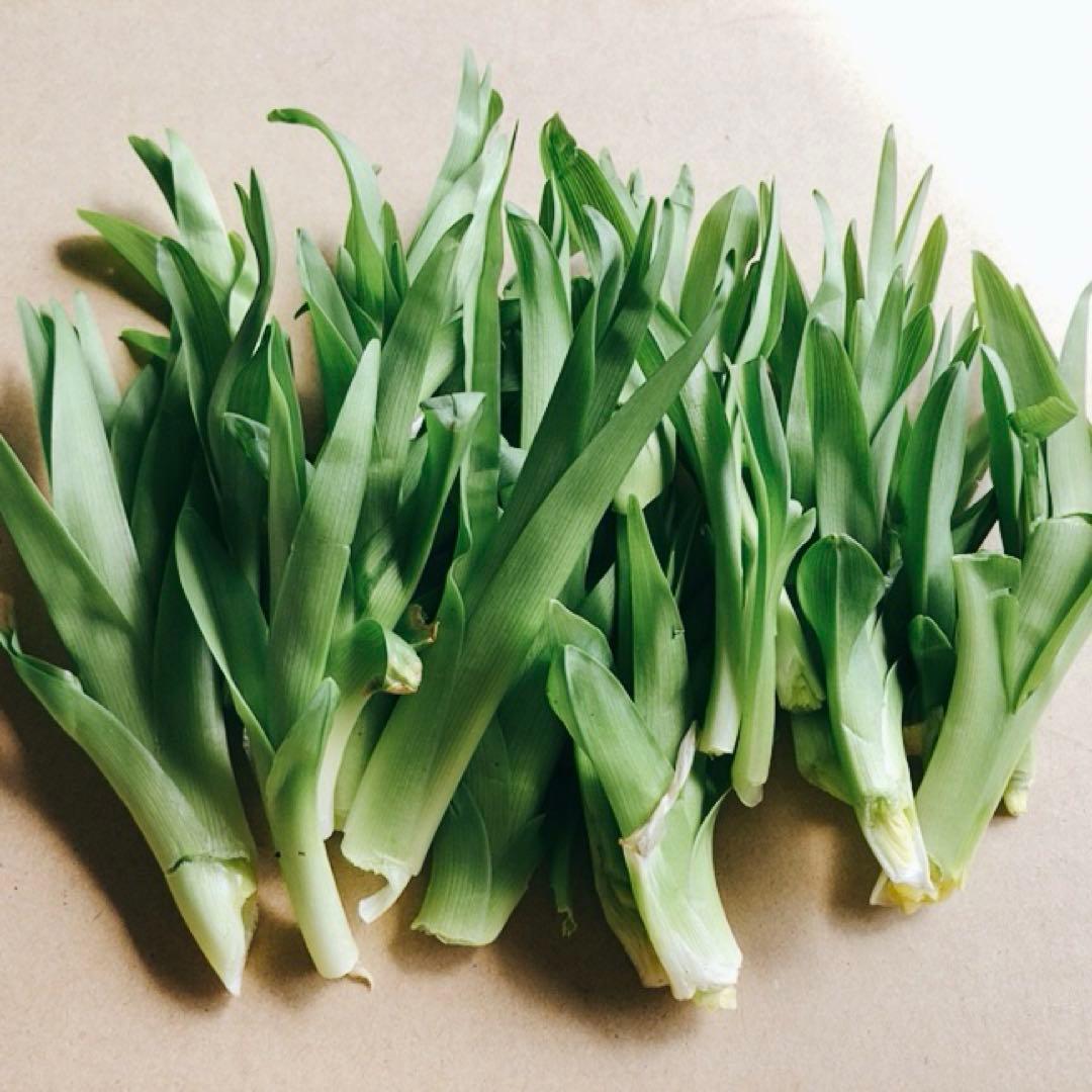 ノカンゾウ200g 　採取　当日発送　無農薬　山菜　新鮮