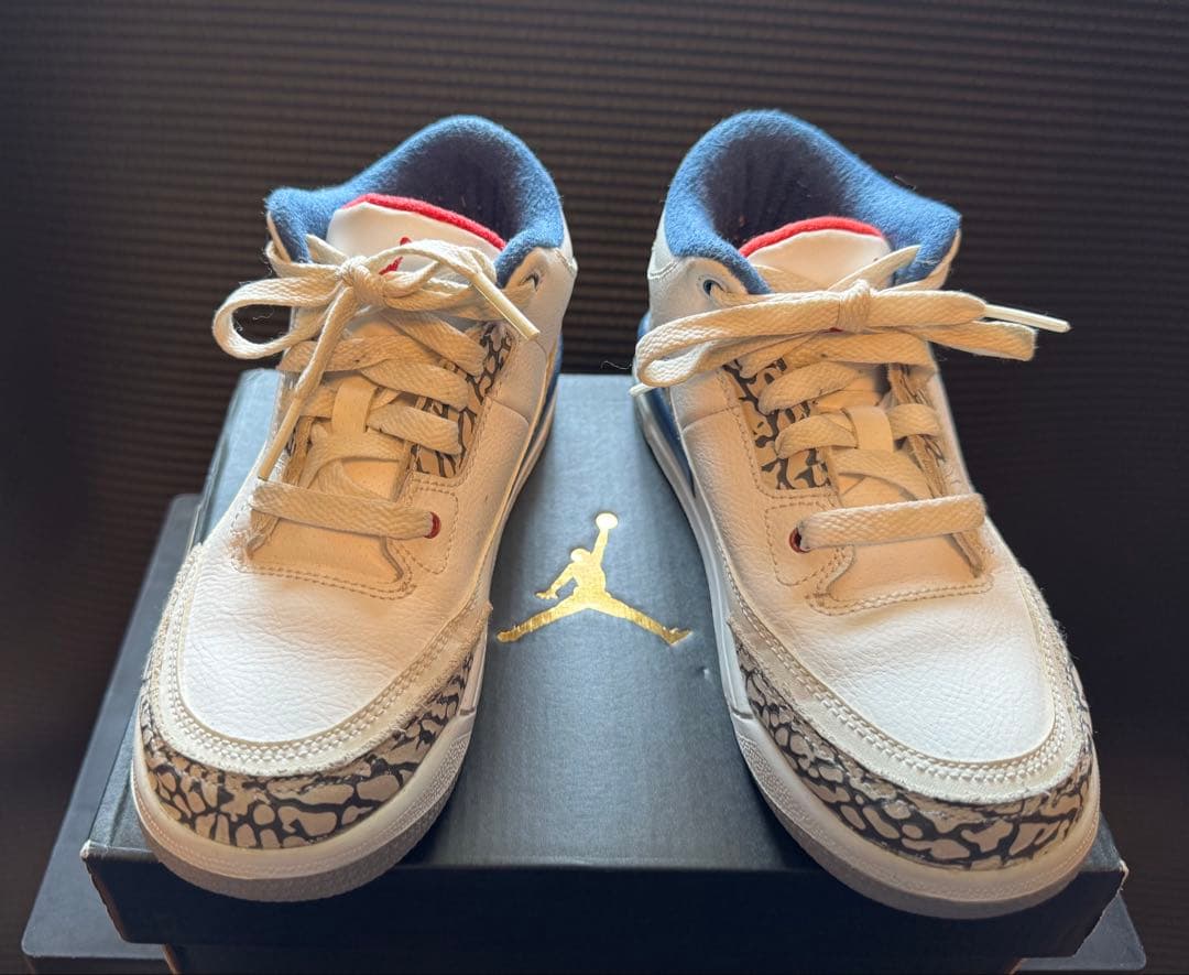 tataNike Air Jordan3 キッズサイズ21cm送料込み