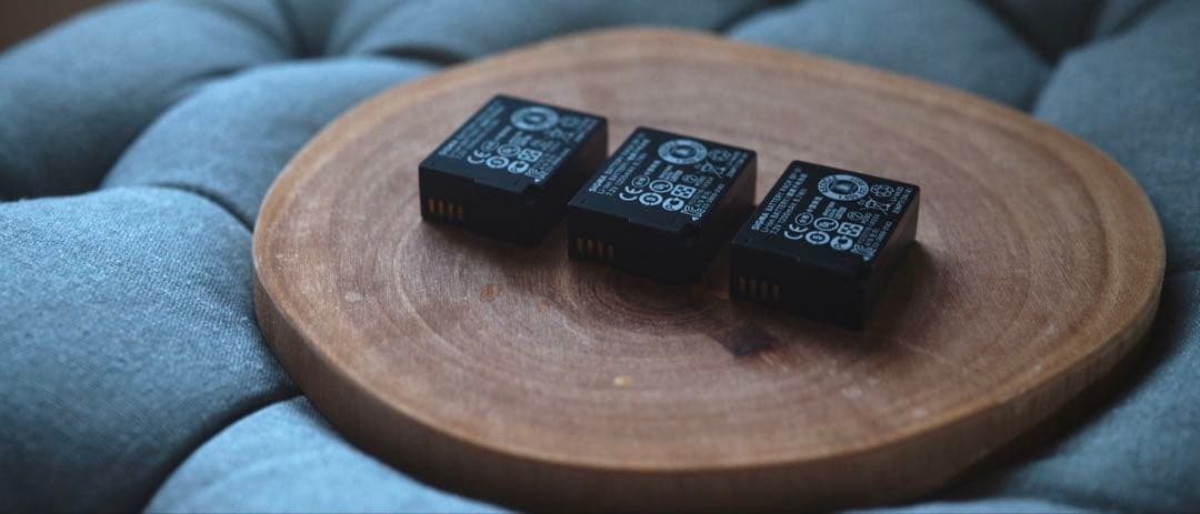 SIGMA fp L +付属品多数