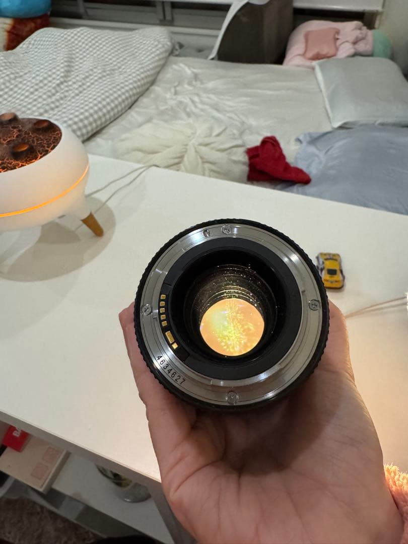 Canon EF100mm F2.8L マクロ IS USM