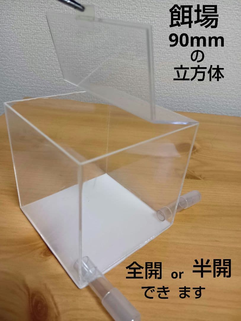 アリ飼育ケース　石膏巣 特大