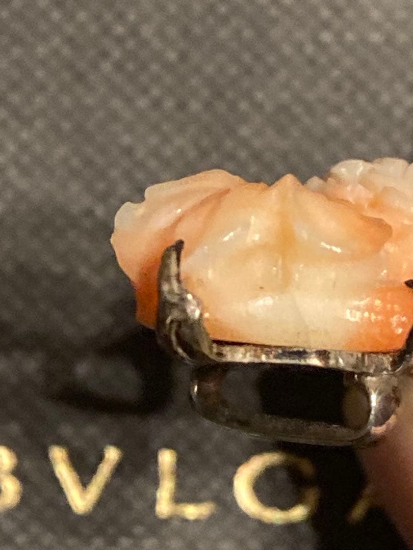 【激レア】本珊瑚　帯留　希少