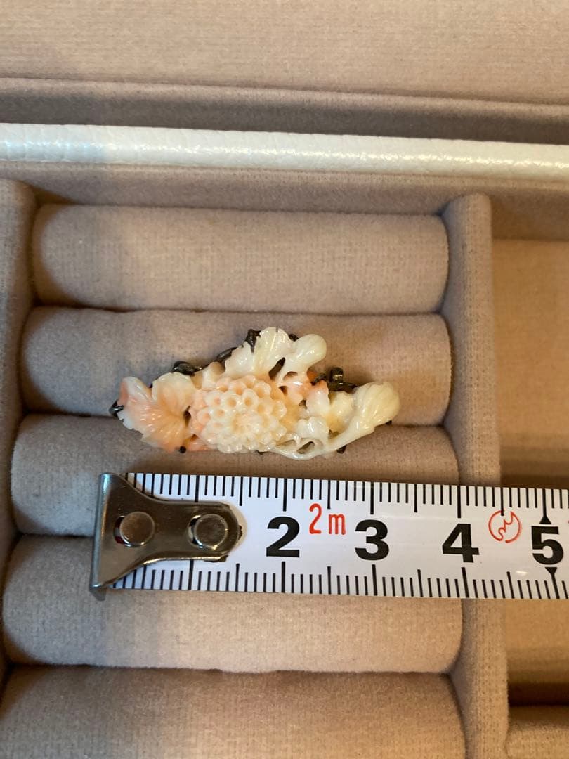 【激レア】本珊瑚　帯留　希少